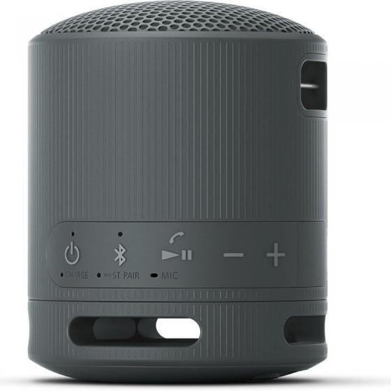 Altavoz Portable con Bluetooth Sony XB100/ 2.0/ Negro