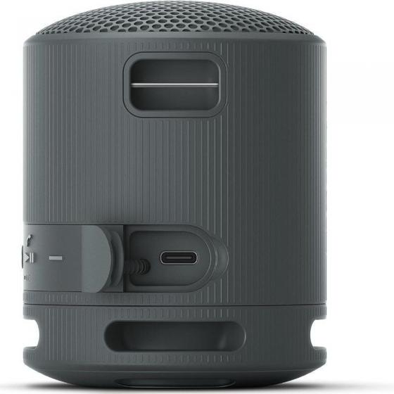 Altavoz Portable con Bluetooth Sony XB100/ 2.0/ Negro