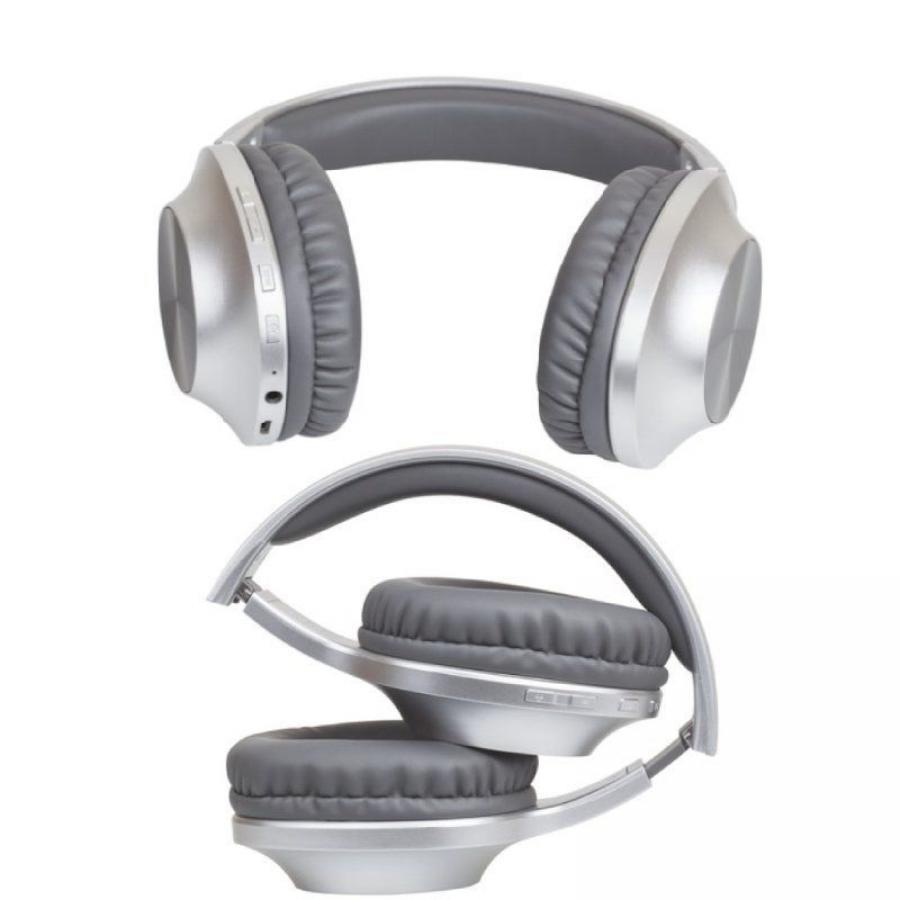 Auriculares Inalámbricos Panasonic RB-HX220B/ con Micrófono/ Bluetooth/ Plateados
