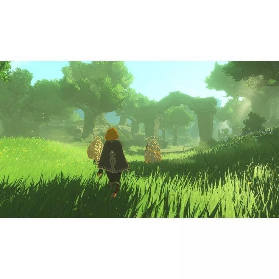 Juego para Consola Nintendo Switch 2 Hyrule Warriors: La Era del Destierro