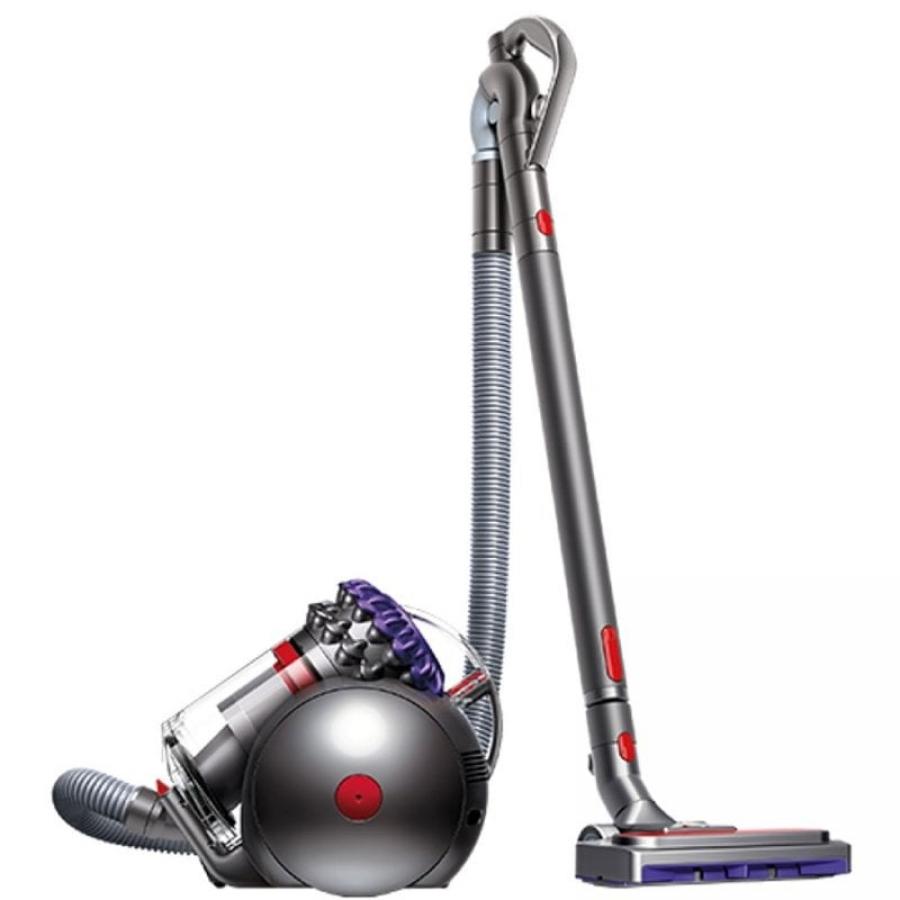 Aspiradora Dyson Big Ball Parquet 2