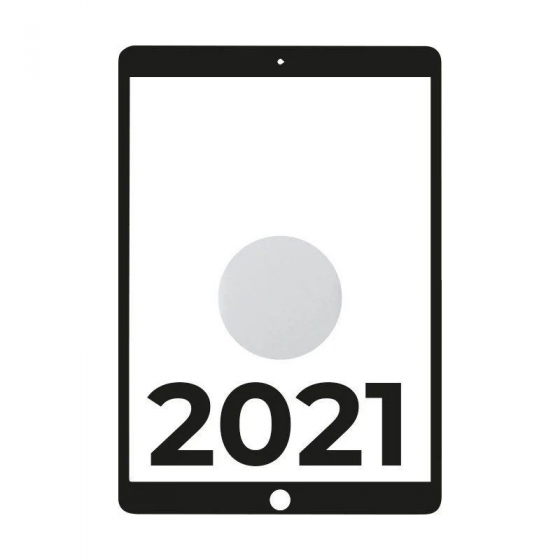 Apple iPad 10.2 2021 9th Wifi Cell A13 Bionic 64GB Plata - MK493TY/A